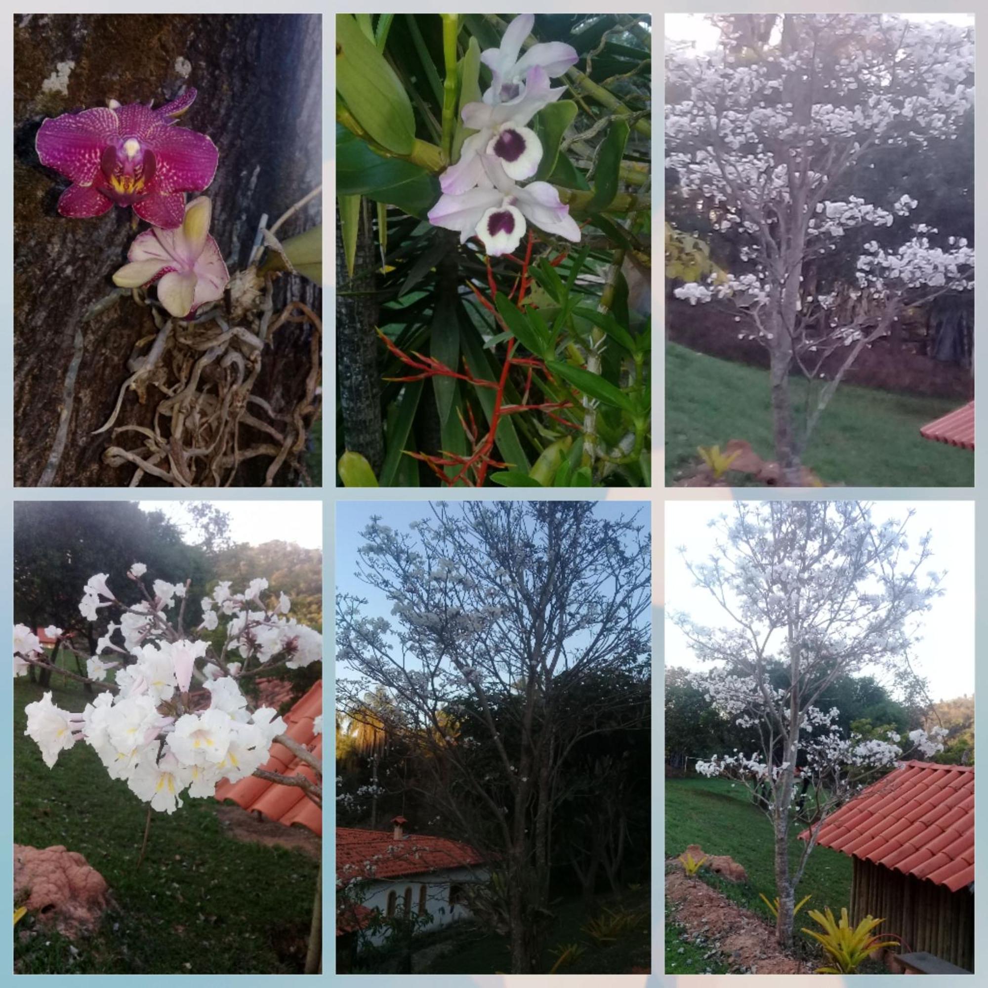 Pousada Rancho Flores Caete Bagian luar foto