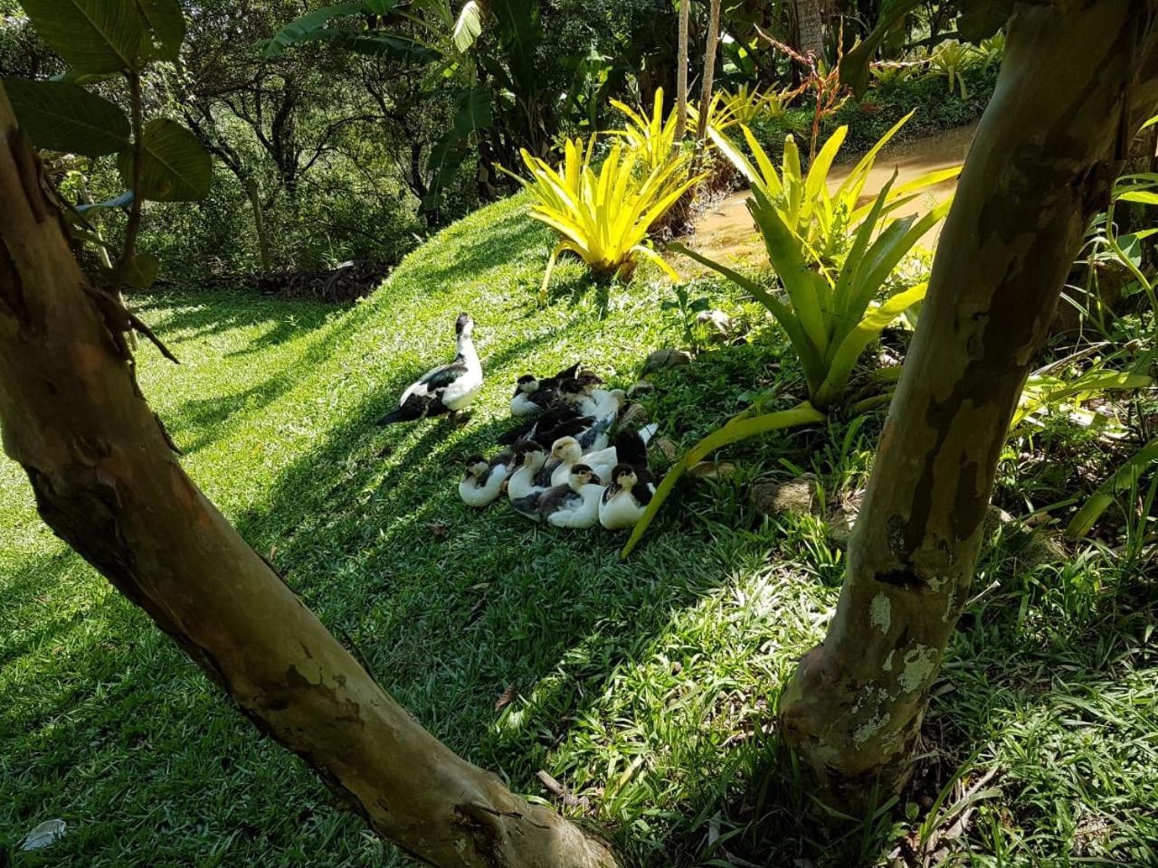Pousada Rancho Flores Caete Bagian luar foto