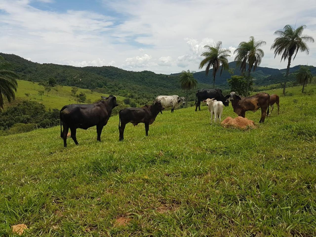 Pousada Rancho Flores Caete Bagian luar foto